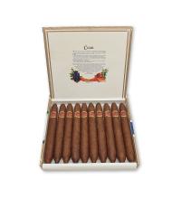 Lot 103 - Cuaba Salomones