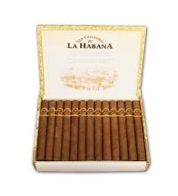 Lot 115 - San Cristobal El Principe