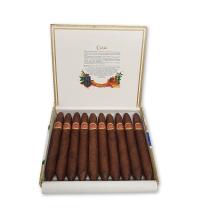 Lot 115 - Cuaba Salomones