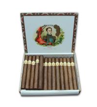 Lot 11 - Bolivar Corona Gigantes