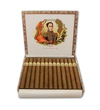 Lot 11 - Bolivar Lonsdales