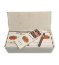 Lot 144 - Hoyo de Monterrey Exquisitos 