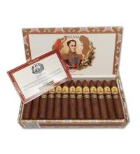 Lot 203 - Bolivar  Petit Belicosos
