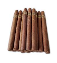 Lot 206 - Trinidad Fundadores