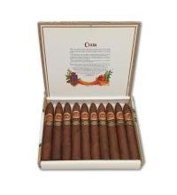 Lot 217 - Cuaba Piramides 