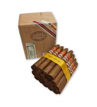 Lot 229 - Saint Luis Rey Pacificos