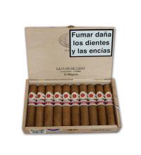 Lot 282 - La Flor de Cano Magicos