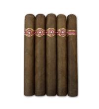 Lot 281 - Dunhill Don Candido Seleccion no.506