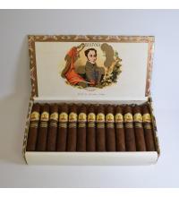 Lot 294 - Bolivar Petit Belicosos