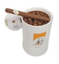 Lot 2 - Cohiba Siglo V - 30 Aniversario Jar