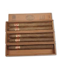 Lot 303 - Dunhill Don Candido Seleccion No. 501