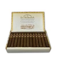 Lot 322 - San Cristobal El Principe