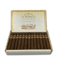 Lot 323 - San Cristobal El Principe