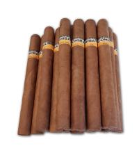 Lot 339 - Cohiba Esplendidos