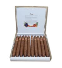 Lot 33 - Cuaba Salomones