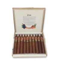 Lot 351 - Cuaba Piramides