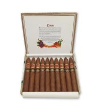 Lot 352 - Cuaba Piramides