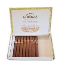 Lot 360 - San Cristobal La Fuerza