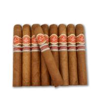 Lot 367 - La Flor de Cano Gran Cano