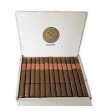 Lot 36 - La Corona Coronas