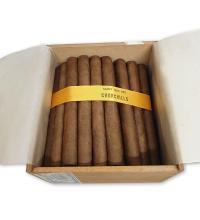 Lot 375 - Saint Luis Rey Churchills