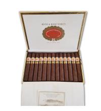 Lot 382 - Hoyo de Monterrey Piramides