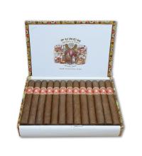 Lot 383 - Punch Black Prince