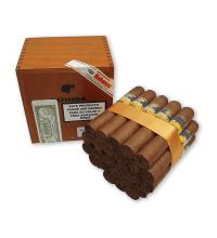 Lot 383 - Cohiba Robustos