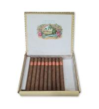 Lot 386 - Saint Luis Rey Churchills
