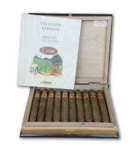 Lot 399 - Cuaba Salamones