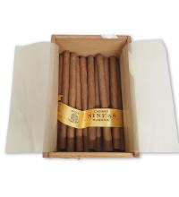 Lot 39 - Punch Ninfas