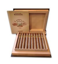 Lot 401 - San Cristobal  O'Reilly