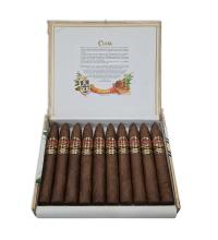 Lot 407 - Cuaba Piramides