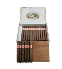 Lot 41 - Saint Luis Rey Serie A