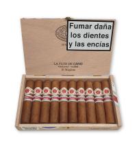 Lot 422 - La Flor de Cano Magicos