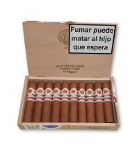 Lot 423 - La Flor de Cano Magicos