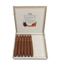 Lot 443 - Cuaba Salomones