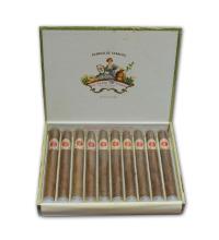 Lot 45 - La Flor de Cano Cristales