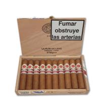 Lot 481 - La Flor de Cano Magicos