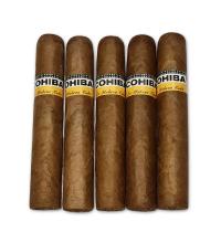 Lot 488 - Cohiba Robustos