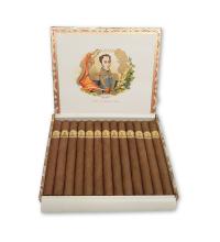 Lot 48 - Bolivar Coronas Gigantes