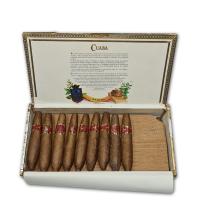 Lot 500 - Cuaba Divinos