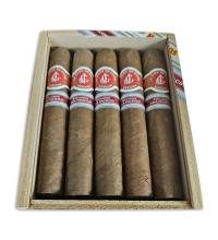 Lot 552 - La Flor de Cano Grandiosos