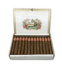 Lot 562 - Saint Luis Rey Serie A