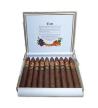 Lot 56 - Cuaba Piramides