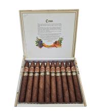 Lot 610 - Cuaba Piramides