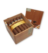 Lot 6 - Cohiba Robusto