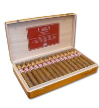 LE301 - Ramon Allones  Phoenicio - 2008