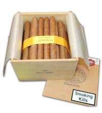 Lot 124 - Saint Luis Rey Churchills