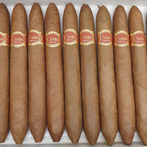 Lot 102 - Cuaba Salomones